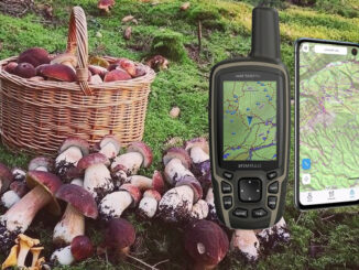 GPS per funghi